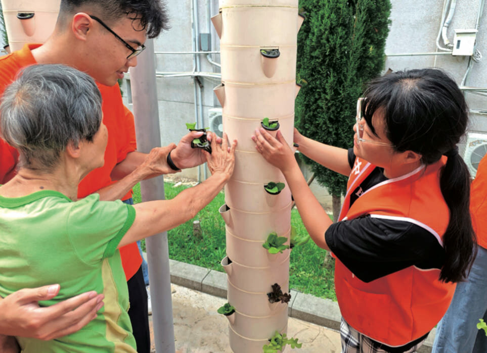 長輩親手栽種水耕蔬菜，包括放置幼苗和添 加營養液，21 天快速收成可給予心靈療癒與成就感。 (圖片來源/王品涵、謙和賀日照中心)