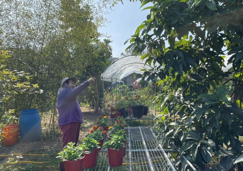雲林古坑麻園社區打造綠色照顧社區菜園。(圖片來源／取自麻園村臉書)