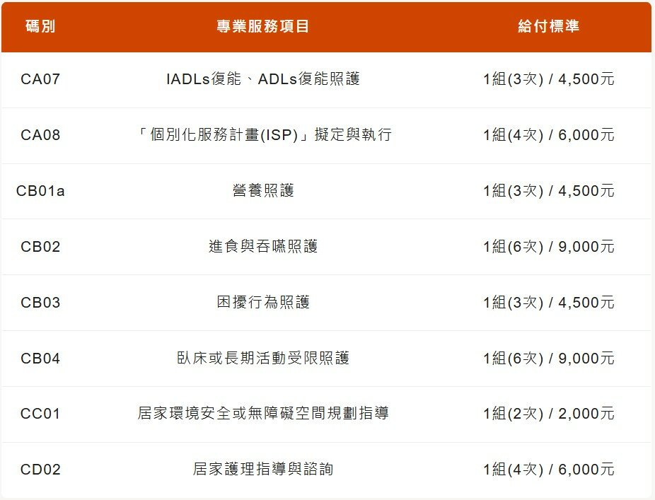 目前現行專業服務的補助碼別