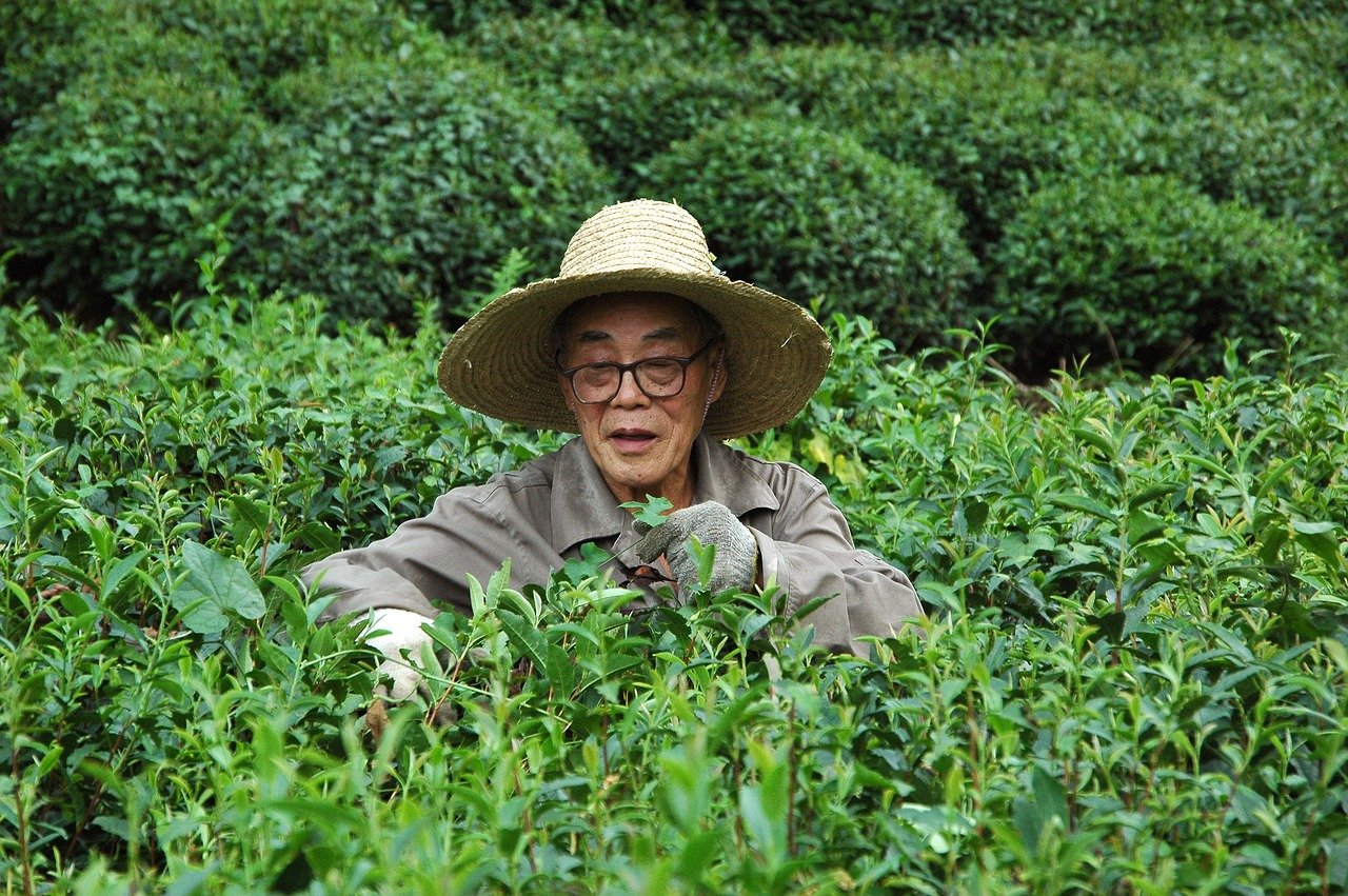 創新照護｜回到「本來的生活」的照顧