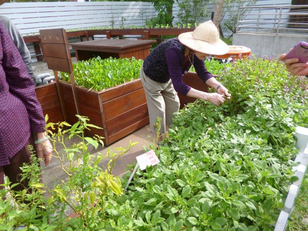 【黃毓瑩專欄】日本附工作高齡者住宅的啟示