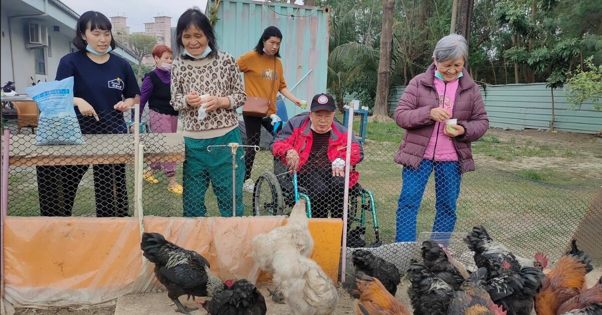 【城市照顧新視界】因地制宜發展特色 城市孵出多元照顧樣貌｜照顧串聯 開創未來產業新視界